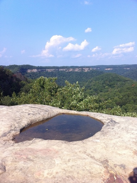 Auxier Ridge_ a year after the fire 3.jpg